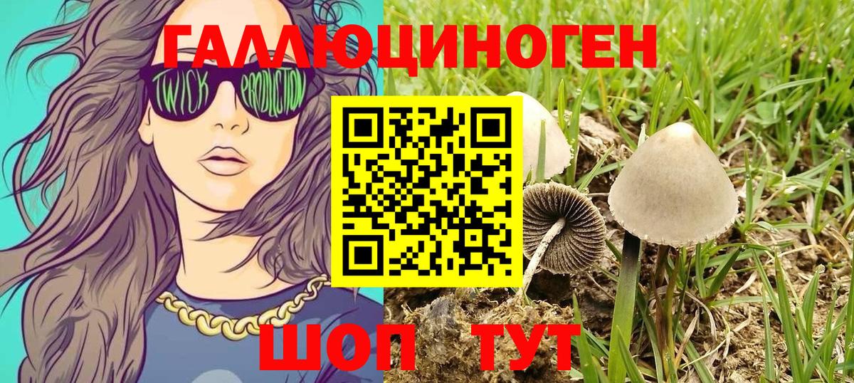 Псилоцибиновые грибы GOLDEN TEACHER Краснодар